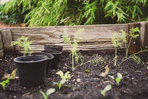 Blog del Ecoparque de Trasmiera: Mejorando los jardines con el compost  municipal